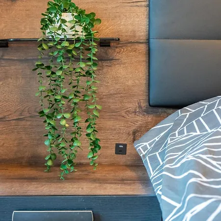 Apartment Palitra *