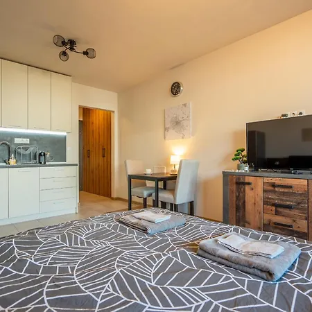 Palitra Apartment